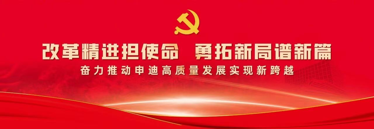 中国共产党上海申迪（集团）有限公司第二次代表大会胜利召开